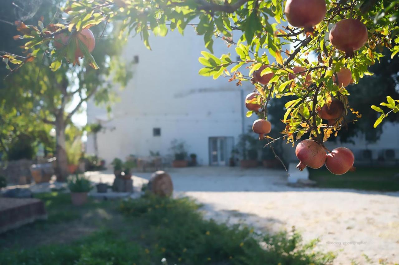 Rooms Masseria Giangrande Полиньяно-а-Маре Экстерьер фото