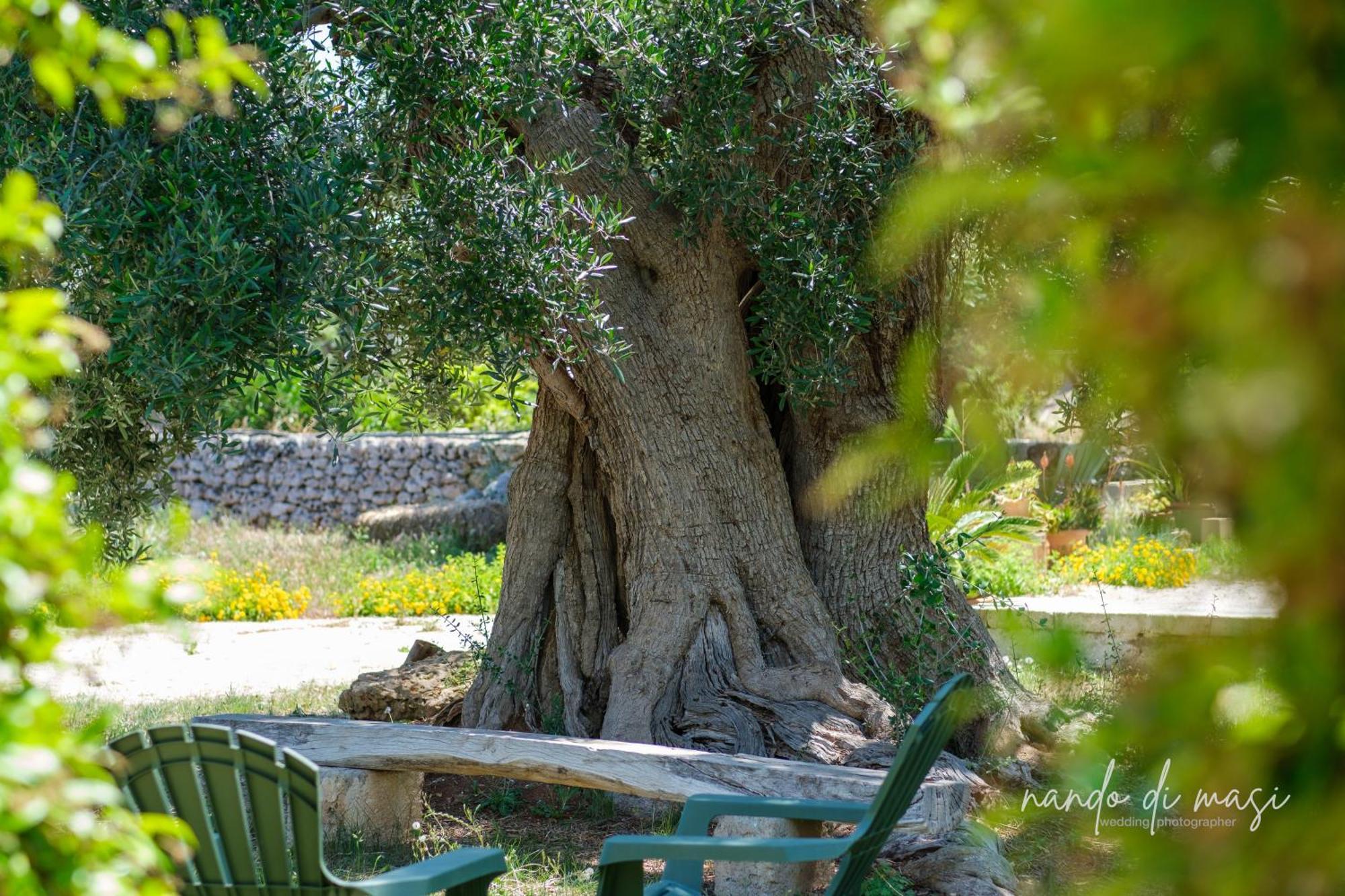 Rooms Masseria Giangrande Полиньяно-а-Маре Экстерьер фото