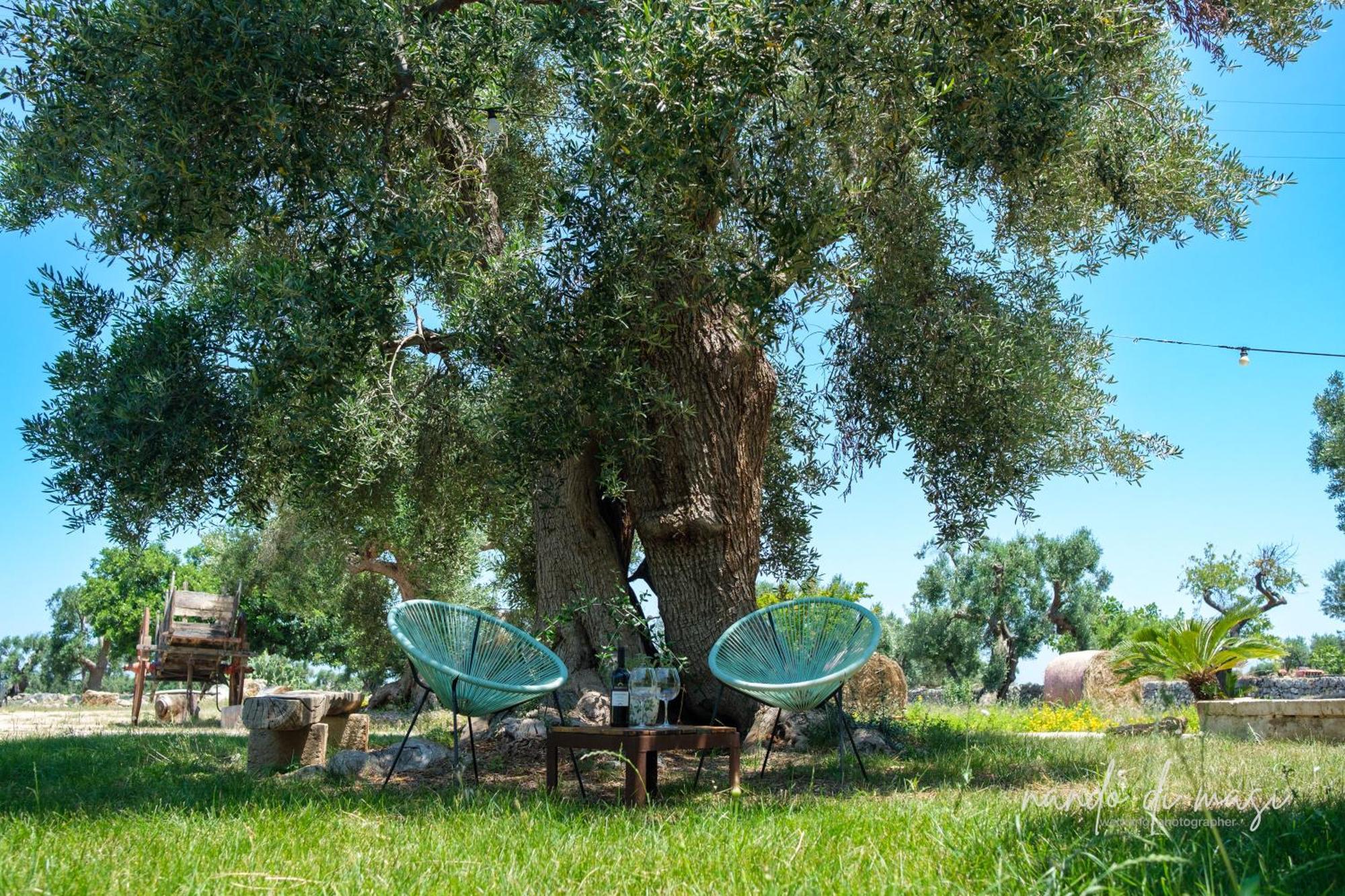 Rooms Masseria Giangrande Полиньяно-а-Маре Экстерьер фото